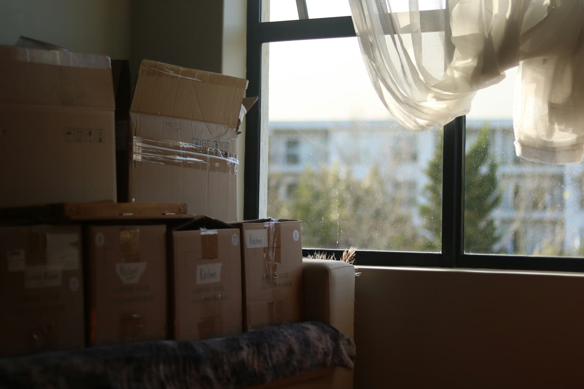 Gepackte Umzugskartons vor einem Fenster
